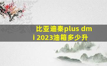 比亚迪秦plus dmi 2023油箱多少升